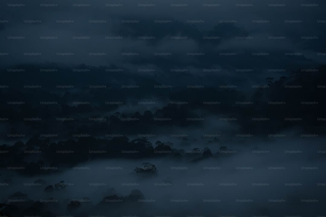 云霄县连夜调度防御第11号台风“杨柳”工作